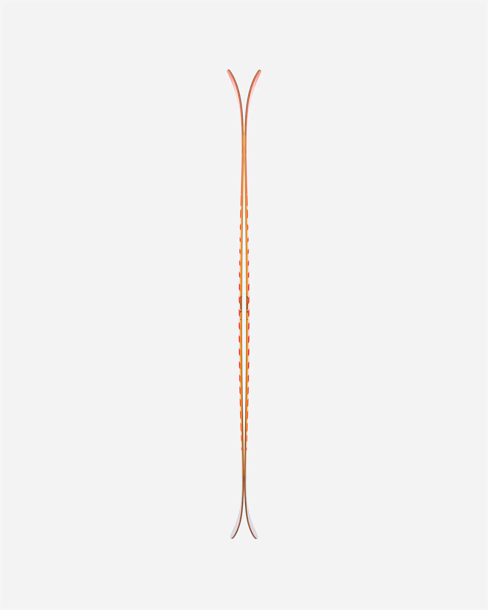 Camox Birdie - Image 2